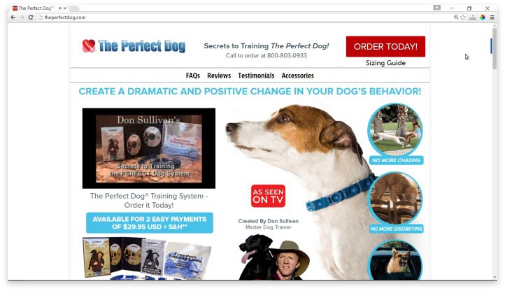 The Perfect Dog Website