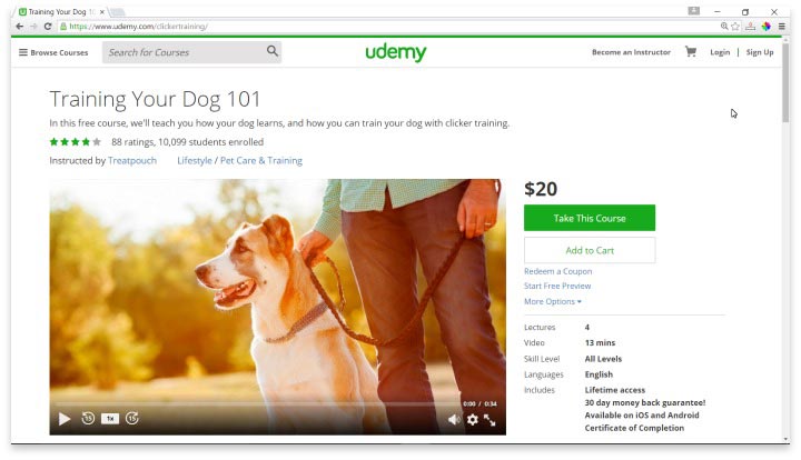 Dog Training 101 Website