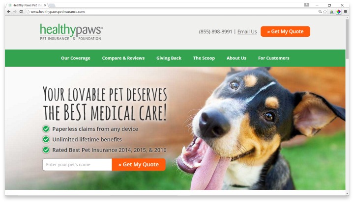 Healthy Paws Pet Insurance Website