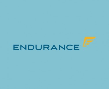 Endurance Warranty Reviews