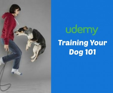 Training Your Dog 101 Reviews